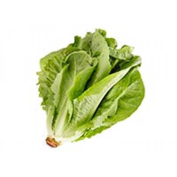 Lettuce - Cos - per head
