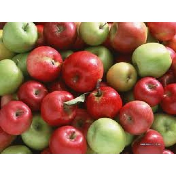 Apples - Juicing - 15kg Box