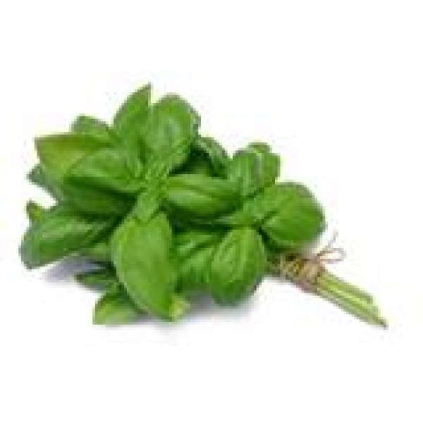 Herbs - Basil - per bunch