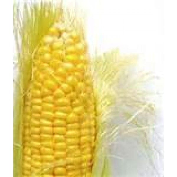 Corn Cob - per each