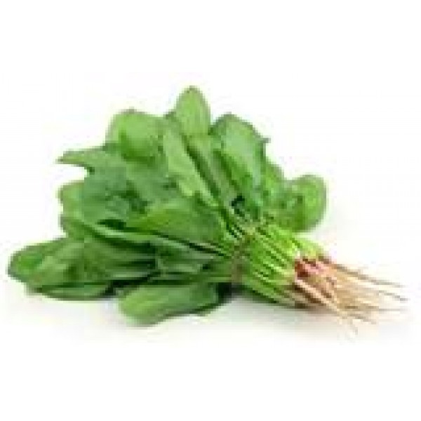 Spinach - English - bunch