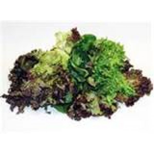 Lettuce Mix Baby- Pre Pack - 120g