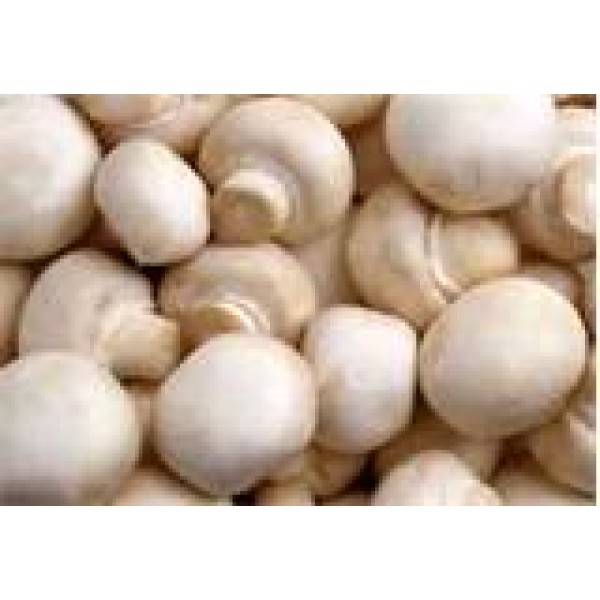 Mushroom - White Button - 250g