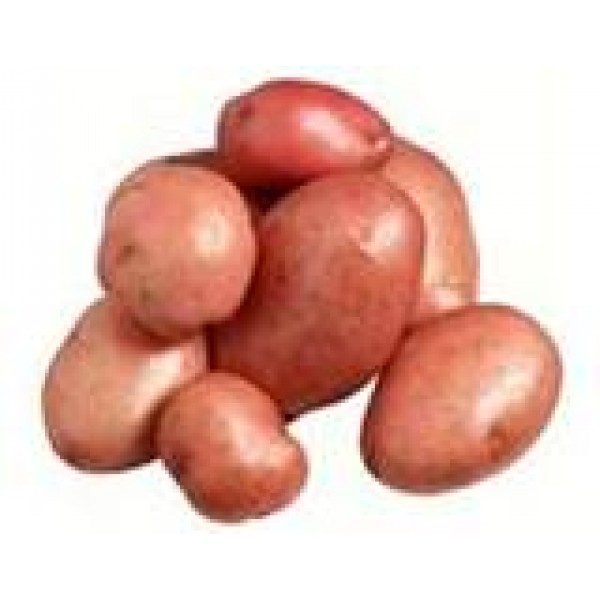 Potatoes - Desiree - per kg