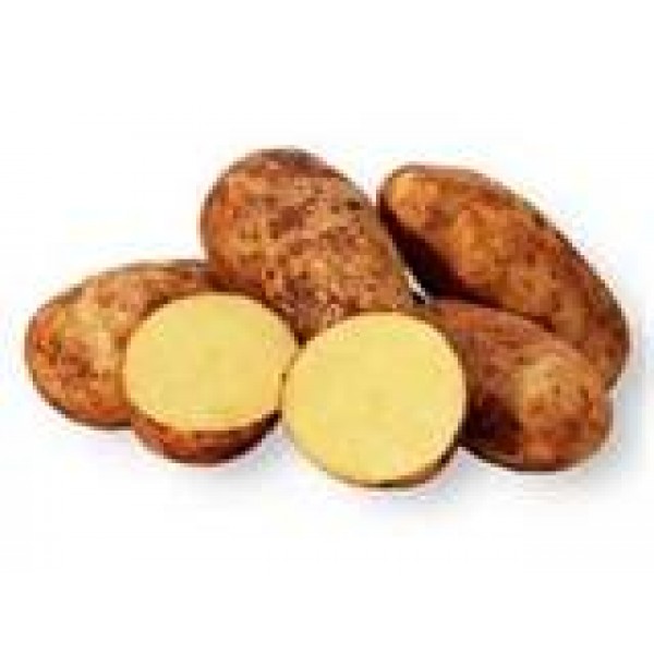 Potatoes - Dutch Cream - per kg