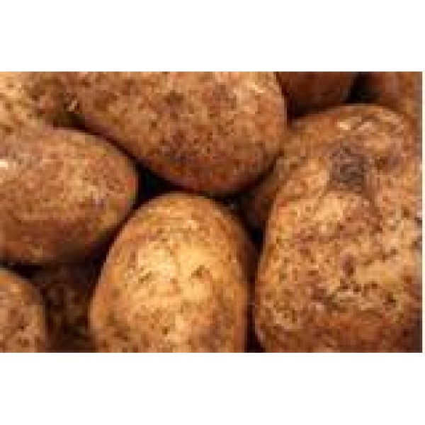 Potates - Sabago - per kilo